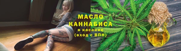 ECSTASY Богданович