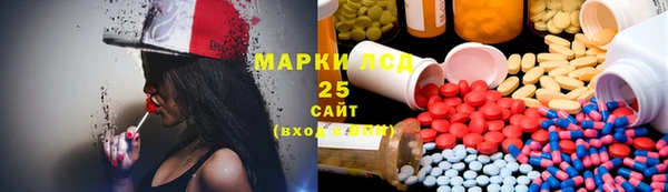 ECSTASY Богданович