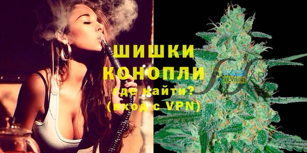 ECSTASY Богданович