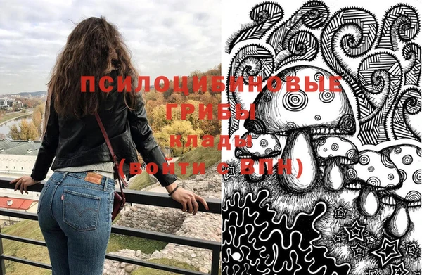 прущие крисы Богородск