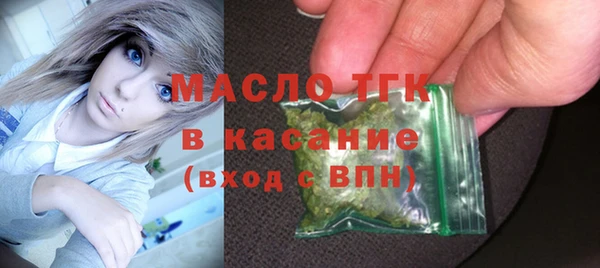 ECSTASY Богданович