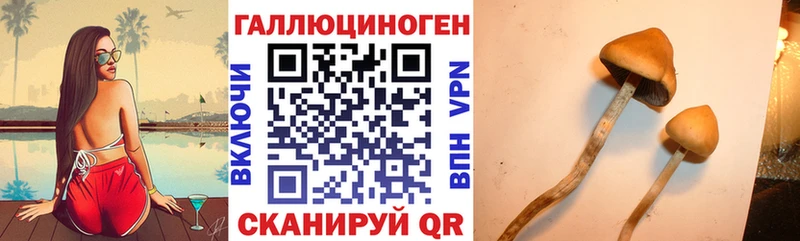 Псилоцибиновые грибы GOLDEN TEACHER  Бугульма 